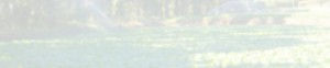 bg_img002