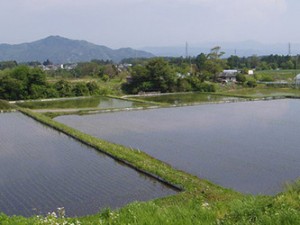 field_img003