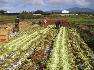 field_img004