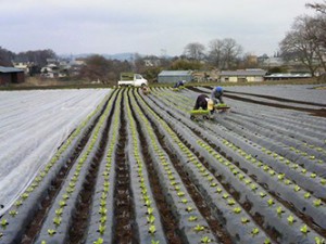 field_img007