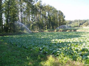 field_img009