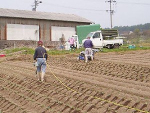 field_img011