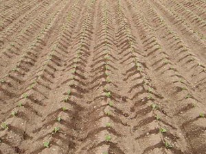 field_img012