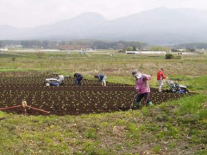 field_img013