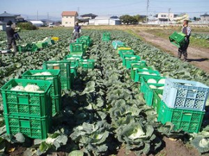 field_img015