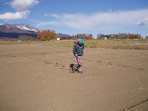 field_img016