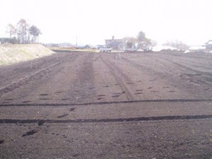 field_img017