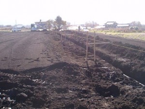 field_img018