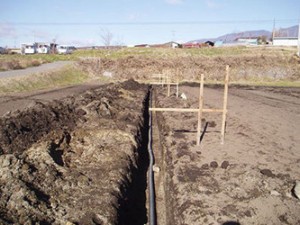 field_img019