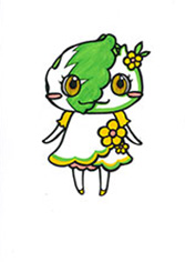 キャベツ
